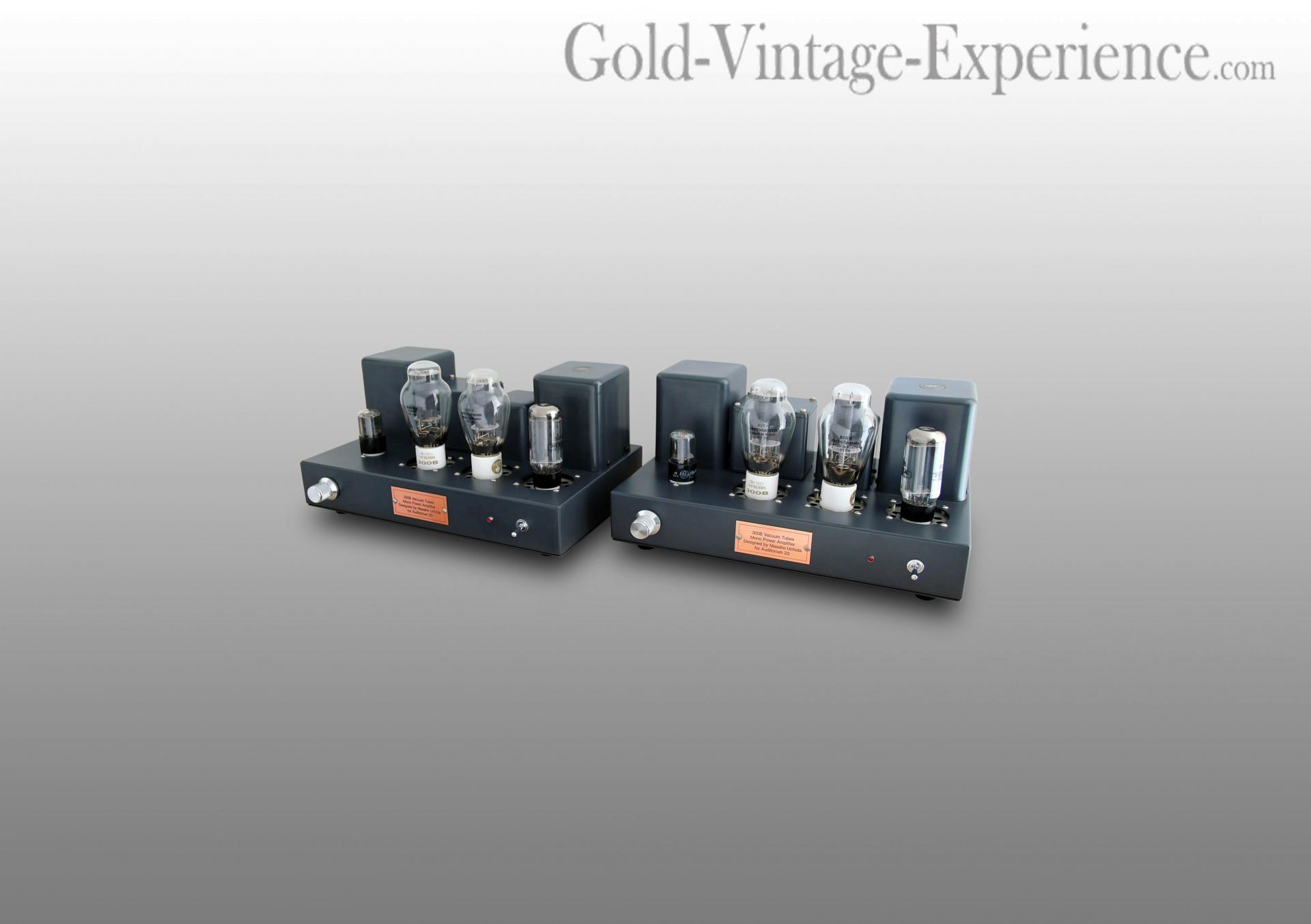 Sun audio 300b 01